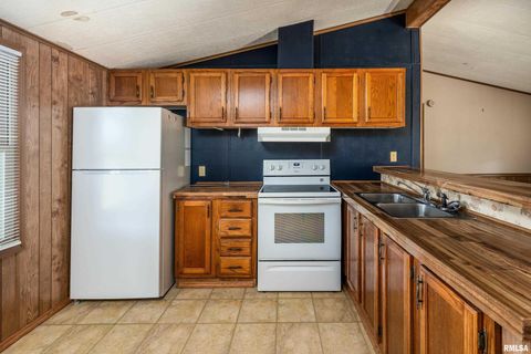 Tiny photo for 2961 N Rocky Comfort Road, Makanda, IL 62958 (MLS # QC4268376)