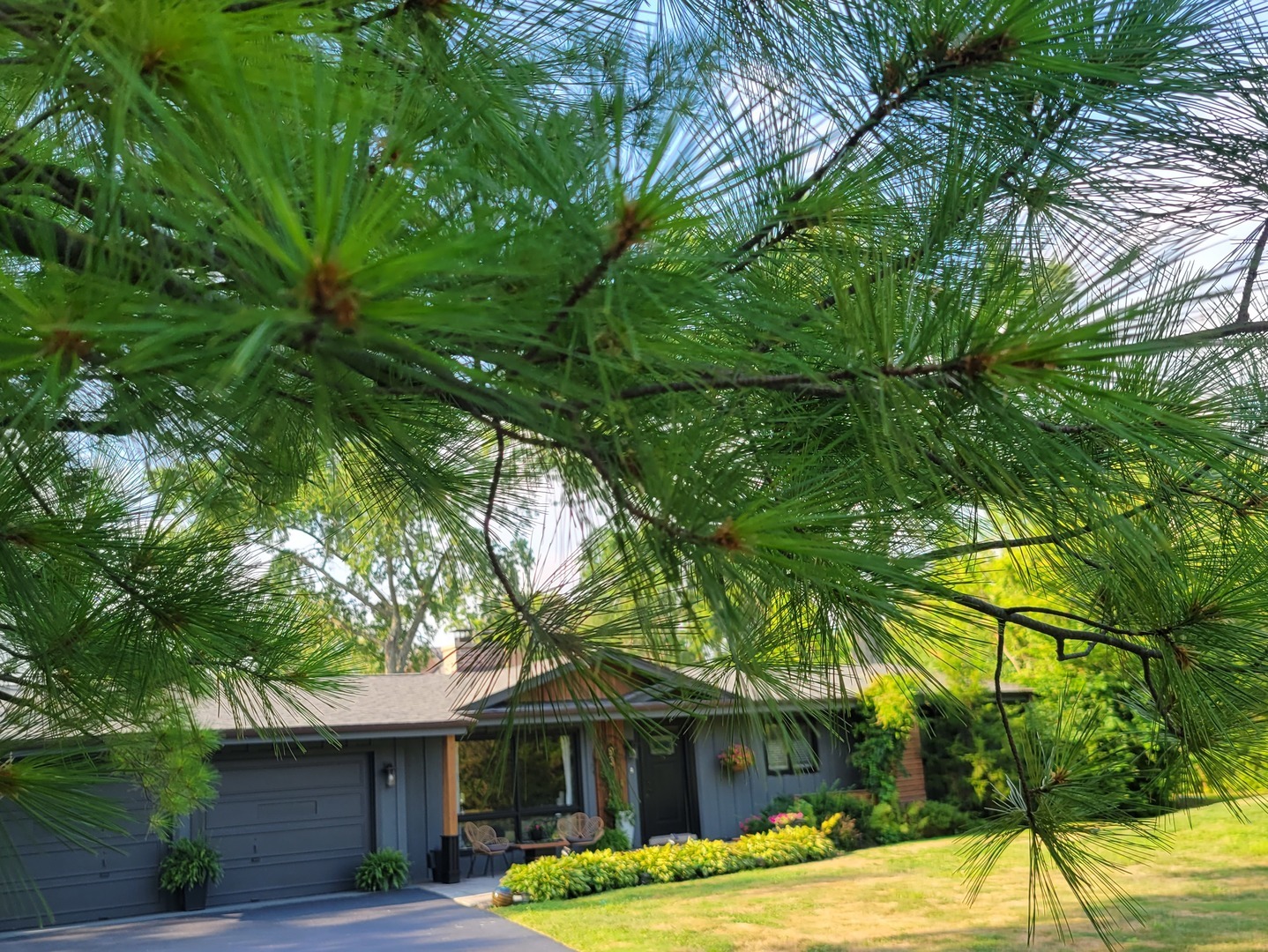 83 Wildwood Drive