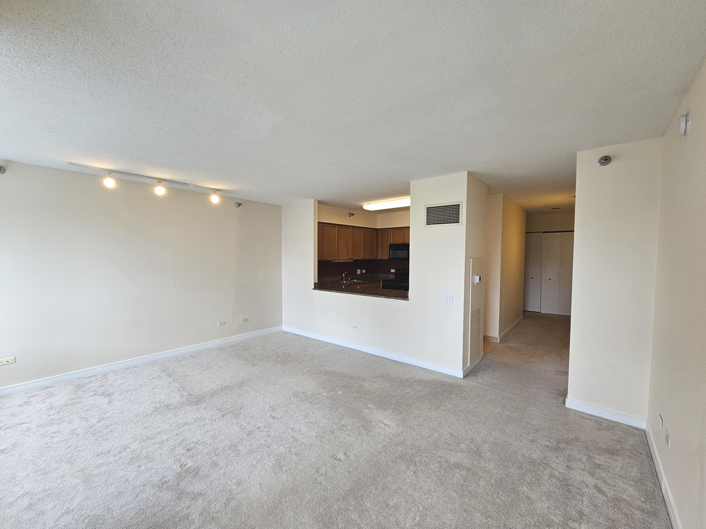 512 N McClurg Court 3808