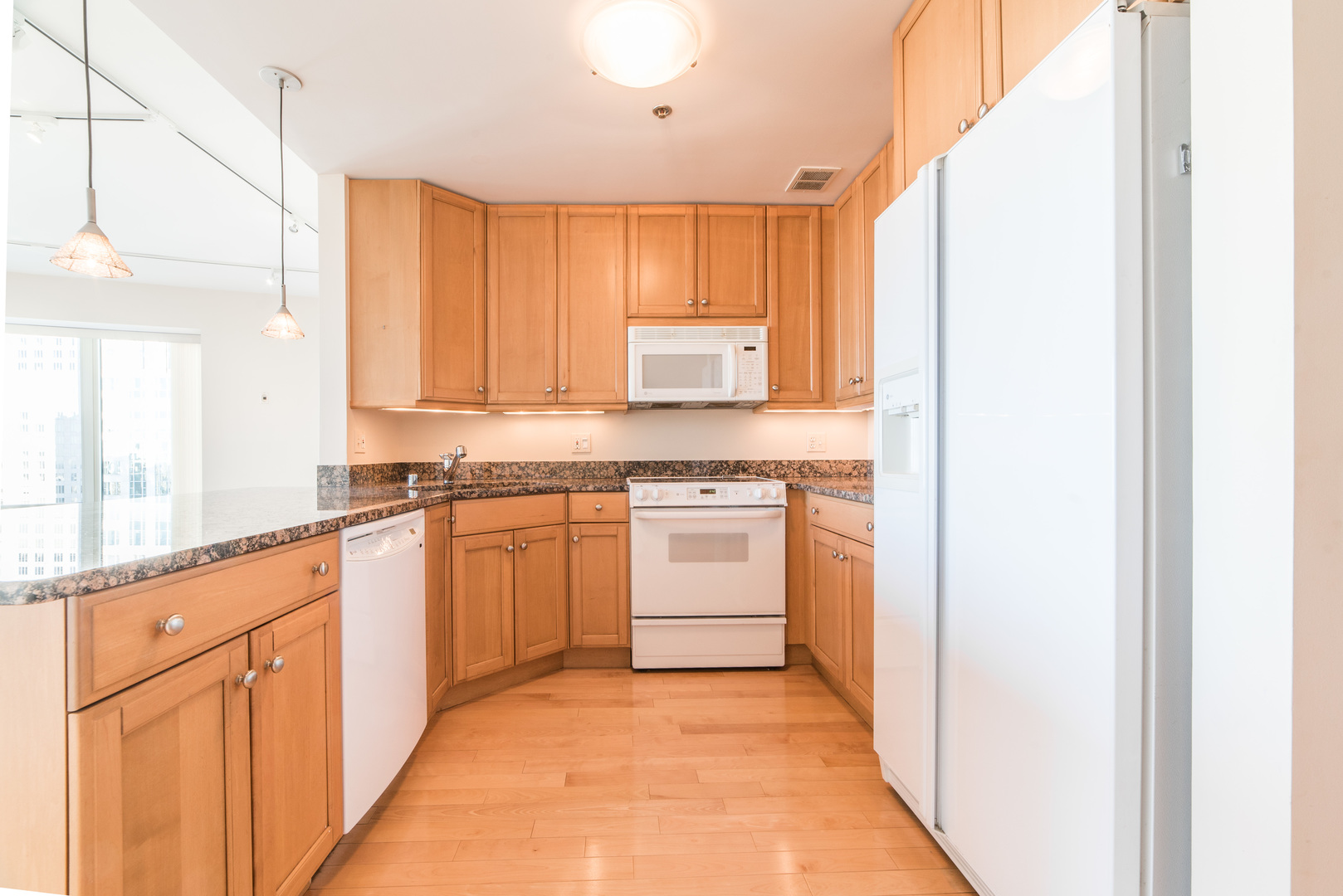 57 E Delaware Place 3204