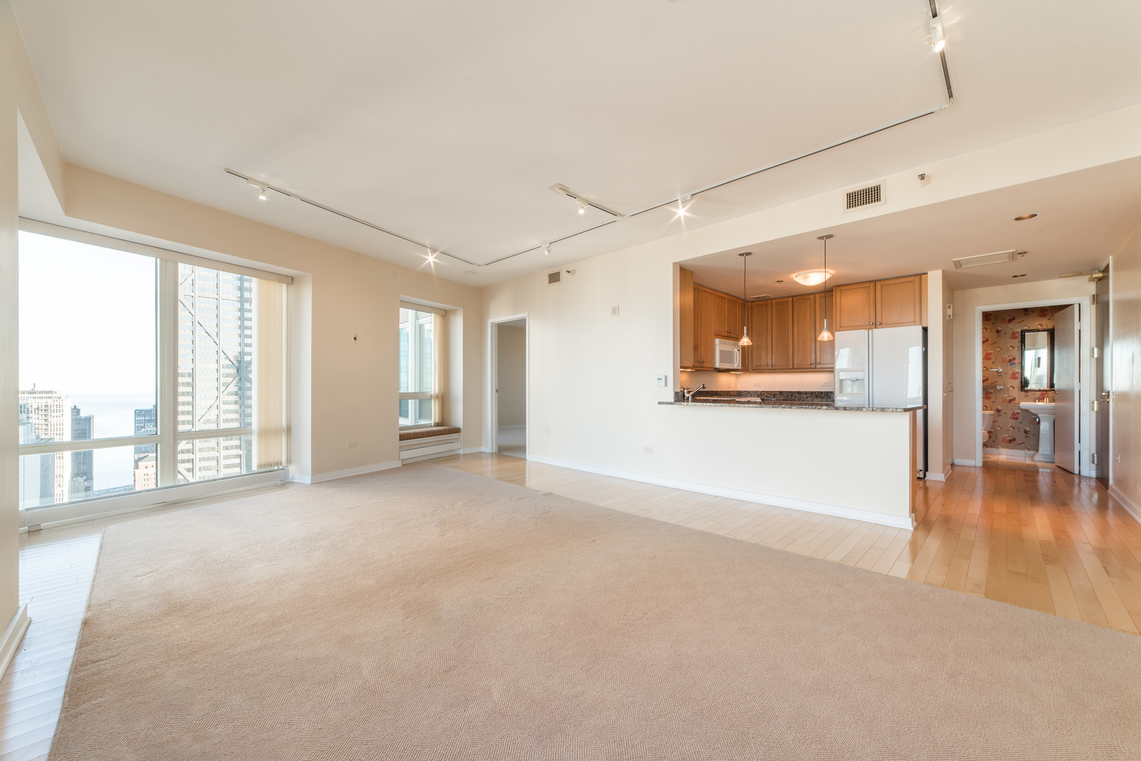 57 E Delaware Place 3204