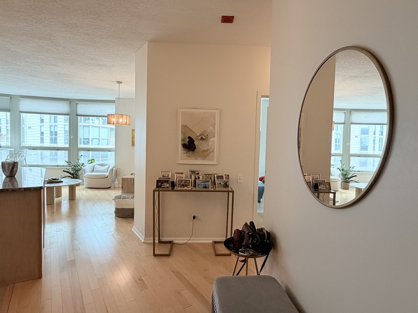 600 N KINGSBURY Street 1006