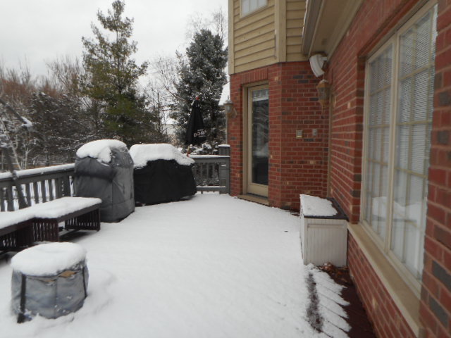 8825 Robert Road