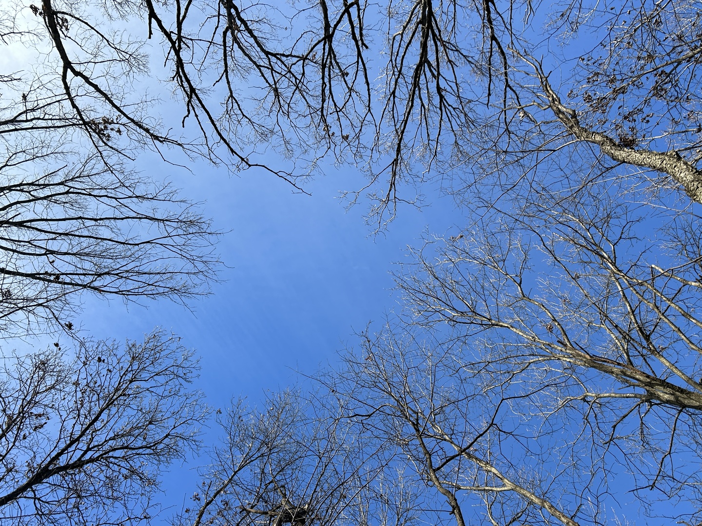 13721 W 167th Street