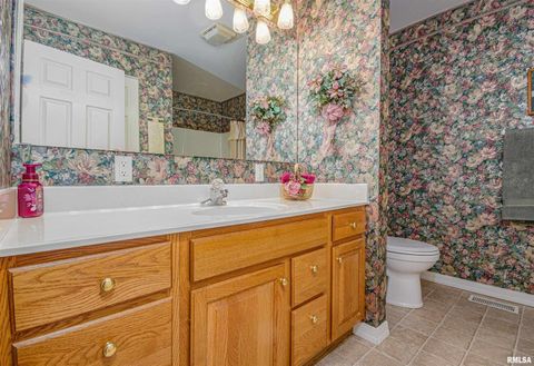 Tiny photo for 111 Hawthorn Estates Road, Salem, IL 62881 (MLS # EB459062)