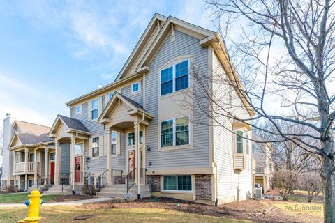 18599 W Sterling Court Grayslake IL 60030