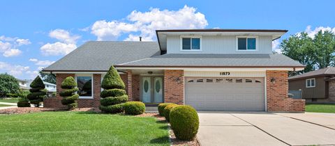 11573 Brook Hill Drive Orland Park IL 60467