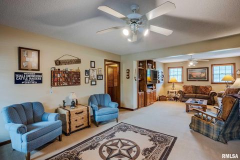 Tiny photo for 285 Sally Holler Road, Harrisburg, IL 62946 (MLS # QC4265490)