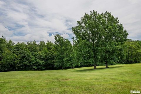 Tiny photo for 285 Sally Holler Road, Harrisburg, IL 62946 (MLS # QC4265490)