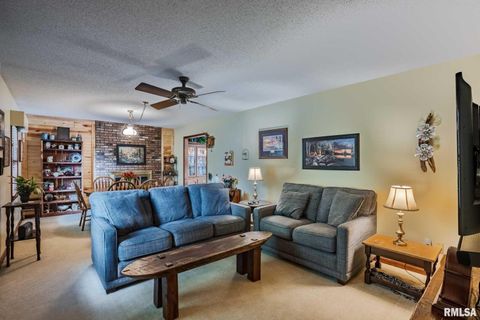 Tiny photo for 285 Sally Holler Road, Harrisburg, IL 62946 (MLS # QC4265490)