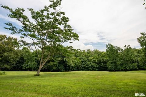 Tiny photo for 285 Sally Holler Road, Harrisburg, IL 62946 (MLS # QC4265490)