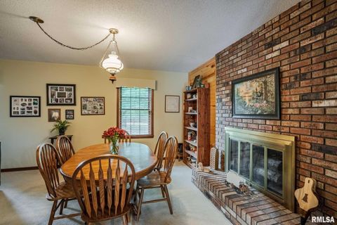 Tiny photo for 285 Sally Holler Road, Harrisburg, IL 62946 (MLS # QC4265490)