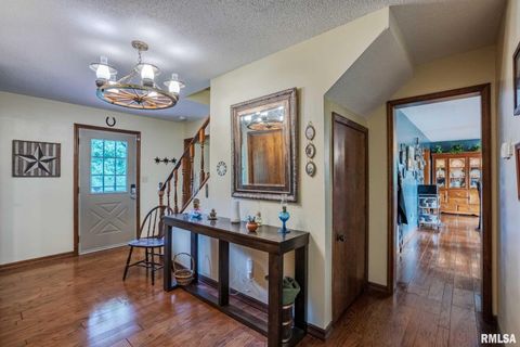 Tiny photo for 285 Sally Holler Road, Harrisburg, IL 62946 (MLS # QC4265490)