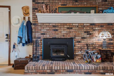 Tiny photo for 285 Sally Holler Road, Harrisburg, IL 62946 (MLS # QC4265490)