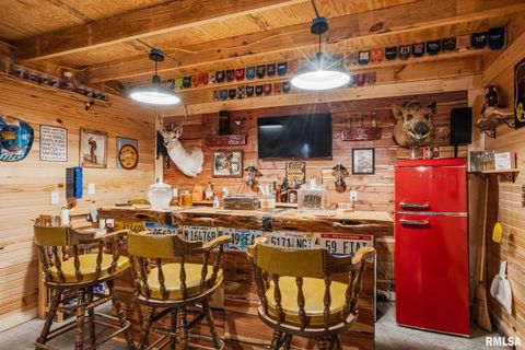 Tiny photo for 285 Sally Holler Road, Harrisburg, IL 62946 (MLS # QC4265490)