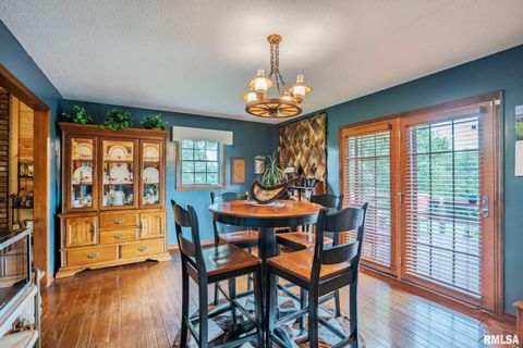 Tiny photo for 285 Sally Holler Road, Harrisburg, IL 62946 (MLS # QC4265490)