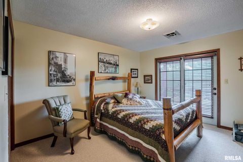 Tiny photo for 285 Sally Holler Road, Harrisburg, IL 62946 (MLS # QC4265490)