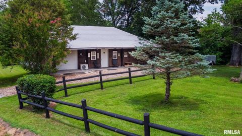 Tiny photo for 285 Sally Holler Road, Harrisburg, IL 62946 (MLS # QC4265490)