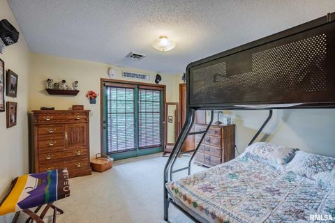 Tiny photo for 285 Sally Holler Road, Harrisburg, IL 62946 (MLS # QC4265490)