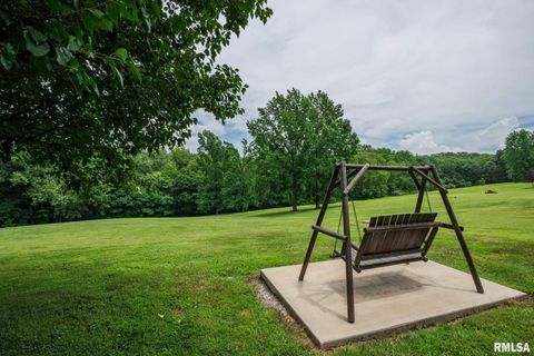 Tiny photo for 285 Sally Holler Road, Harrisburg, IL 62946 (MLS # QC4265490)