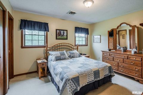 Tiny photo for 285 Sally Holler Road, Harrisburg, IL 62946 (MLS # QC4265490)