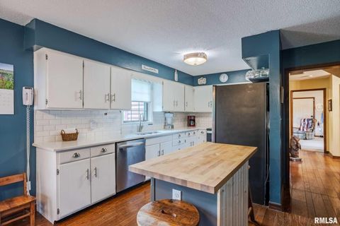 Tiny photo for 285 Sally Holler Road, Harrisburg, IL 62946 (MLS # QC4265490)