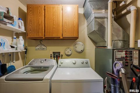 Tiny photo for 285 Sally Holler Road, Harrisburg, IL 62946 (MLS # QC4265490)