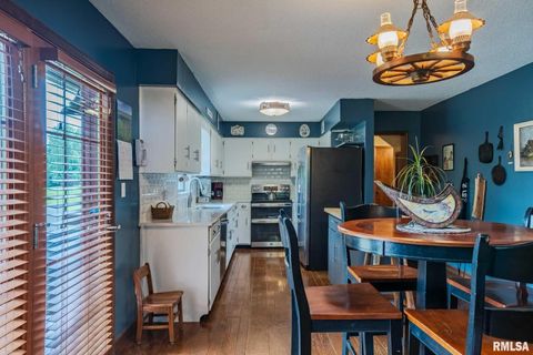 Tiny photo for 285 Sally Holler Road, Harrisburg, IL 62946 (MLS # QC4265490)