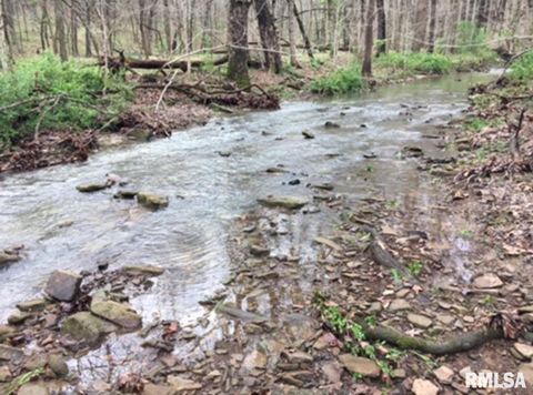 Tiny photo for 285 Sally Holler Road, Harrisburg, IL 62946 (MLS # QC4265490)