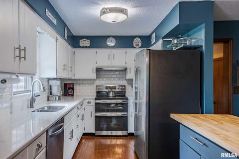 Tiny photo for 285 Sally Holler Road, Harrisburg, IL 62946 (MLS # QC4265490)