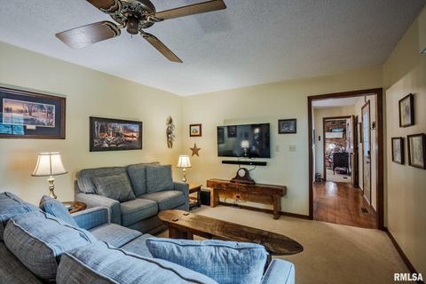 Tiny photo for 285 Sally Holler Road, Harrisburg, IL 62946 (MLS # QC4265490)