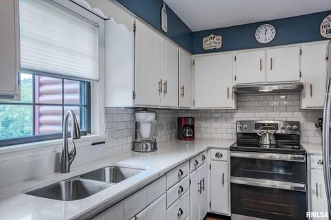 Tiny photo for 285 Sally Holler Road, Harrisburg, IL 62946 (MLS # QC4265490)