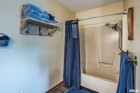 Tiny photo for 285 Sally Holler Road, Harrisburg, IL 62946 (MLS # QC4265490)