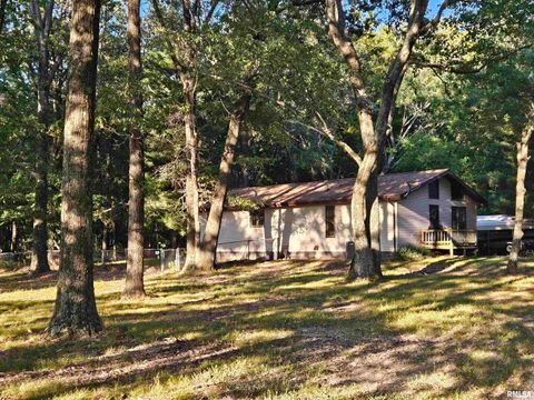 Tiny photo for 10322 Mine 24 Road, Benton, IL 62812 (MLS # EB459671)