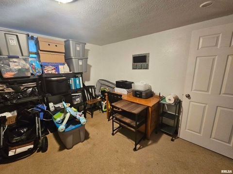 Tiny photo for 10322 Mine 24 Road, Benton, IL 62812 (MLS # EB459671)