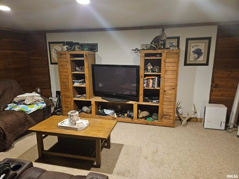 Tiny photo for 10322 Mine 24 Road, Benton, IL 62812 (MLS # EB459671)