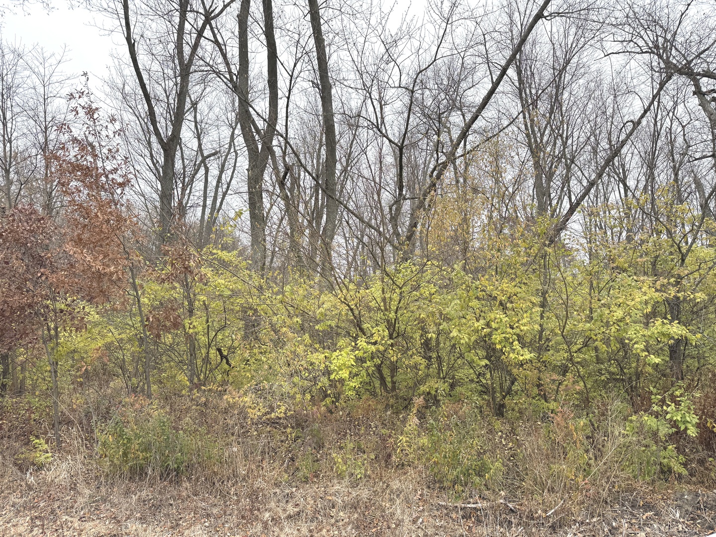 Kankakee, Illinois 60901, United States, ,Land,Active,249119