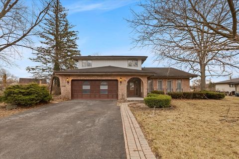 Photo of 2939 E Hickory Lane, Crete, IL 60417 (MLS # 12524644)