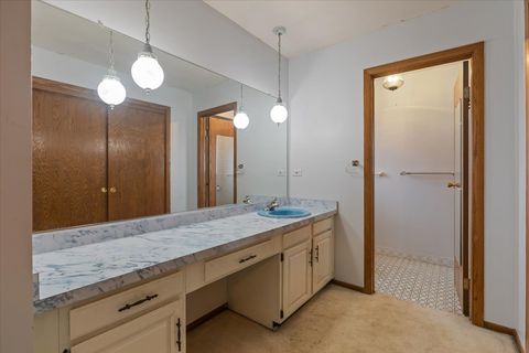 Tiny photo for 2939 E Hickory Lane, Crete, IL 60417 (MLS # 12524644)