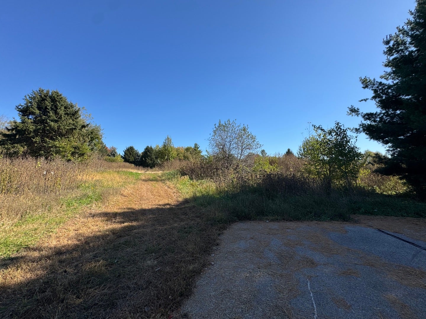 41W815 Laurel Drive
