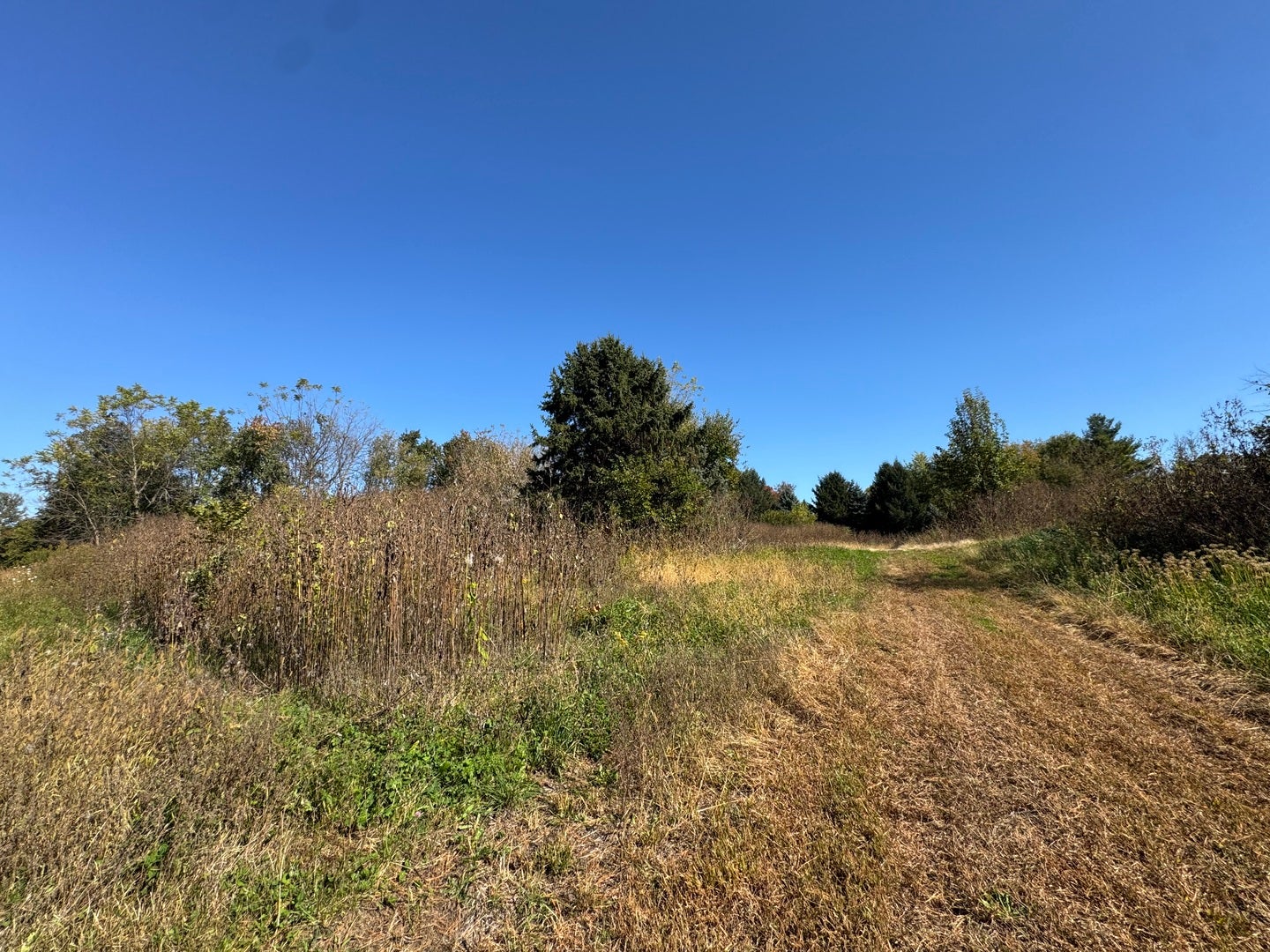 41W815 Laurel Drive