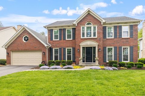 424 Dilorenzo Drive Naperville IL 60565