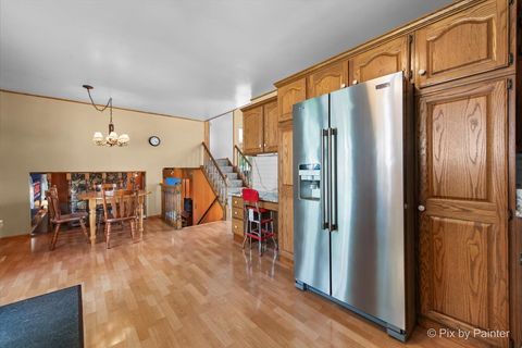 Tiny photo for 501 Argyll Lane, Schaumburg, IL 60194 (MLS # 12475161)