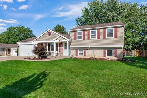 Tiny photo for 501 Argyll Lane, Schaumburg, IL 60194 (MLS # 12475161)