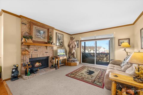 Tiny photo for 21011 W Snowberry Court, Plainfield, IL 60544 (MLS # 12565079)