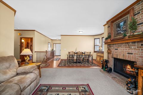 Tiny photo for 21011 W Snowberry Court, Plainfield, IL 60544 (MLS # 12565079)