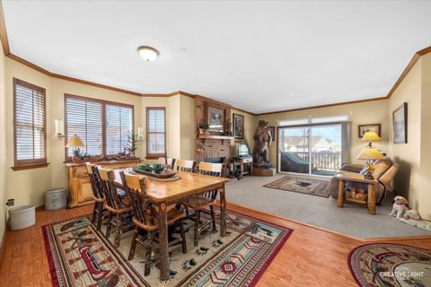 Tiny photo for 21011 W Snowberry Court, Plainfield, IL 60544 (MLS # 12565079)