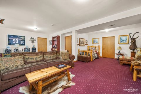 Tiny photo for 21011 W Snowberry Court, Plainfield, IL 60544 (MLS # 12565079)