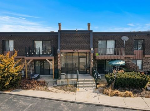 Photo of 605 Limerick Lane #2B, Schaumburg, IL 60193 (MLS # 12581033)