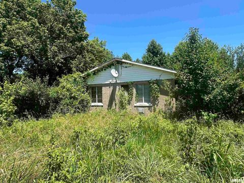 Tiny photo for 5672 Old Route 13 Road, Carterville, IL 62918 (MLS # EB454182)